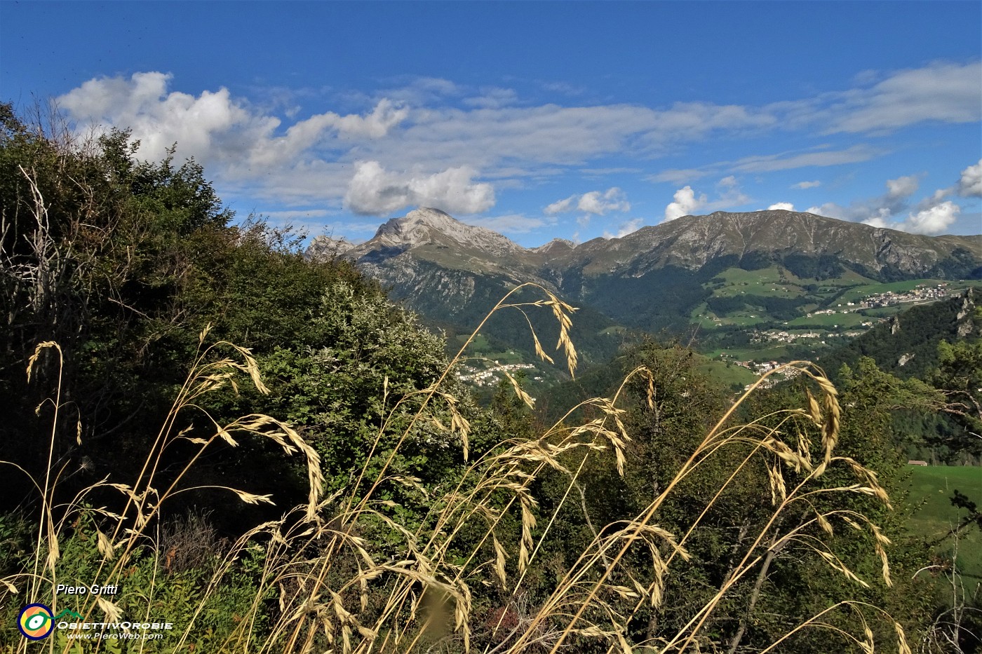 22 Finestra tra le piante del bosco verso Arera e Grem.JPG